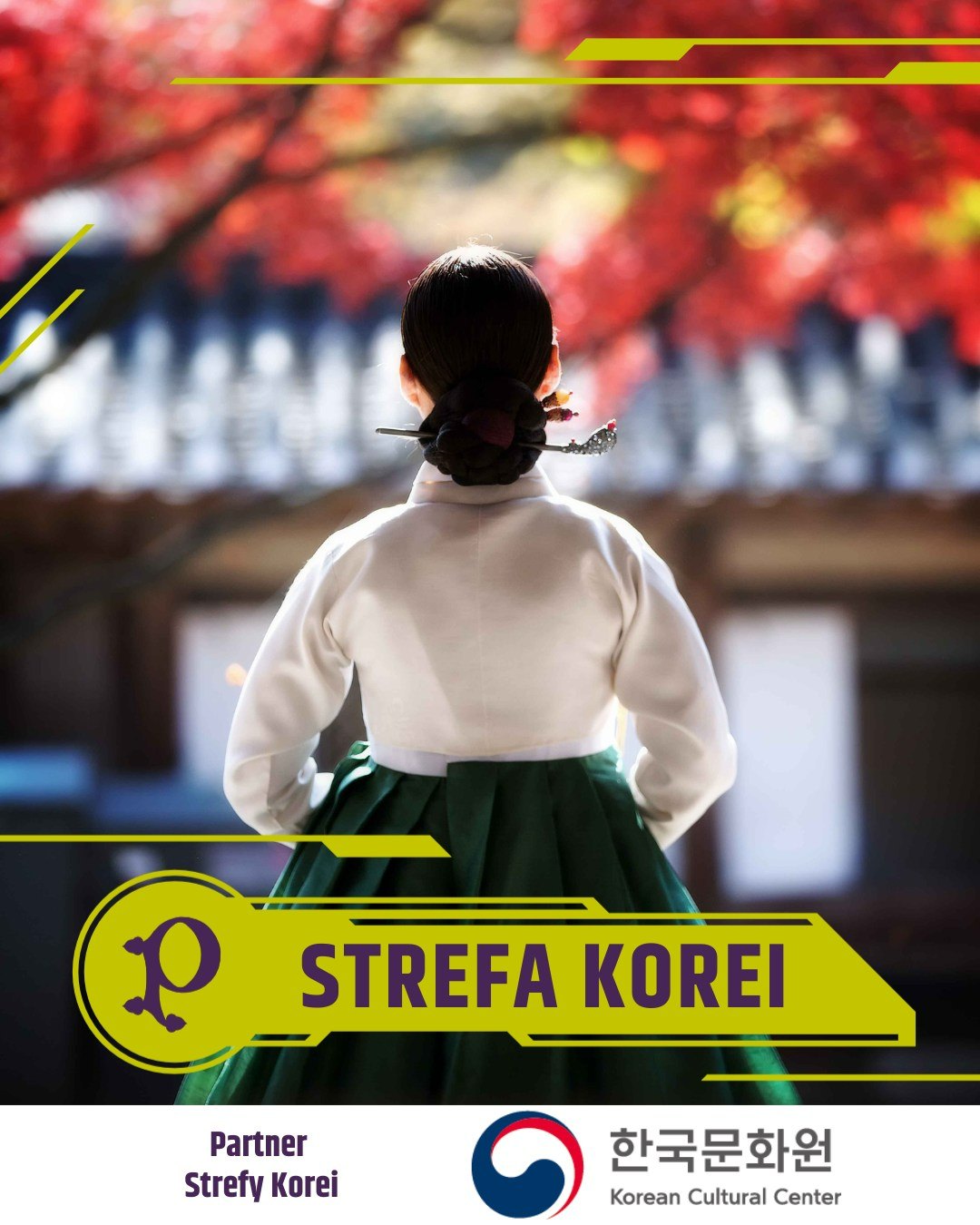 피르콘 korea zone
